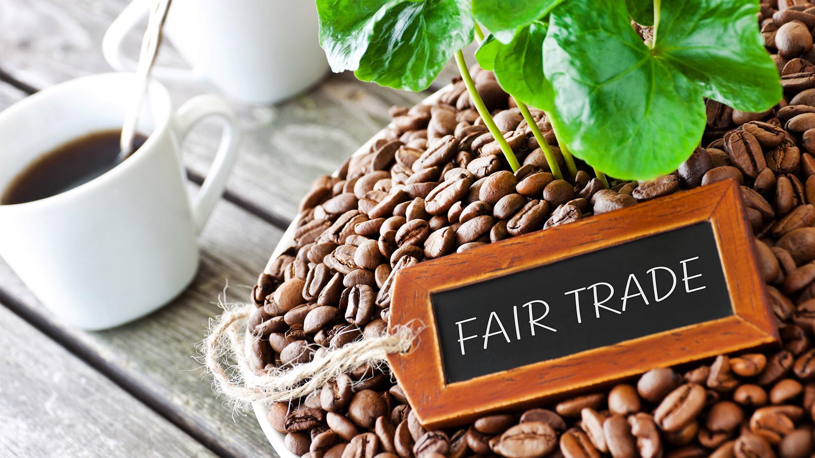 Comercio justo en la producción de café